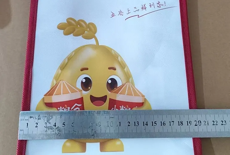 Gahumi cases 127-Custom Non-woven bag-06.webp